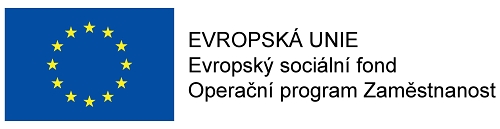 LOGO WEB